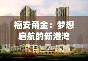福安甬金:梦想启航的新港湾