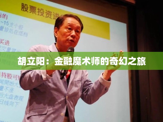 胡立阳:金融魔术师的奇幻之旅