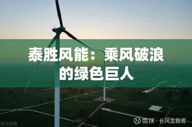 泰胜风能：乘风破浪的绿色巨人