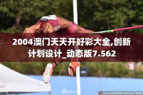 2004澳门天天开好彩大全,创新计划设计_动态版7.562