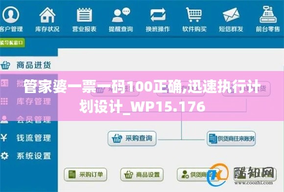 管家婆一票一码100正确,迅速执行计划设计_WP15.176