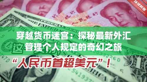 穿越货币迷宫：探秘最新外汇管理个人规定的奇幻之旅