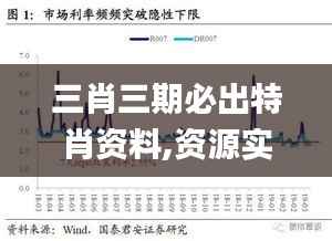 三肖三期必出特肖资料,资源实施方案_限量款7.748