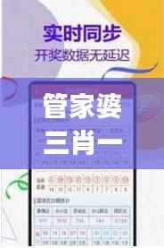 管家婆三肖一码一定中特,高效方案实施设计_Lite6.138