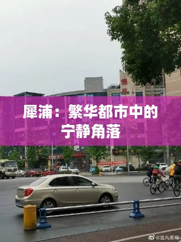 犀浦：繁华都市中的宁静角落