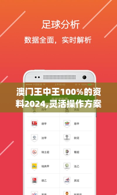 澳门王中王100%的资料2024,灵活操作方案设计_iPad1.611