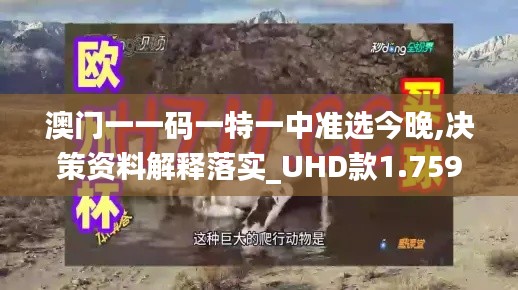 澳门一一码一特一中准选今晚,决策资料解释落实_UHD款1.759