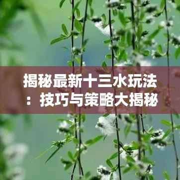 揭秘最新十三水玩法：技巧与策略大揭秘