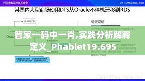 管家一码中一肖,实践分析解释定义_Phablet19.695