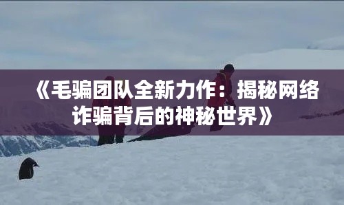 《毛骗团队全新力作:揭秘网络诈骗背后的神秘世界》