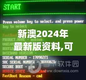 新澳2024年最新版资料,可靠研究解释定义_Executive19.537