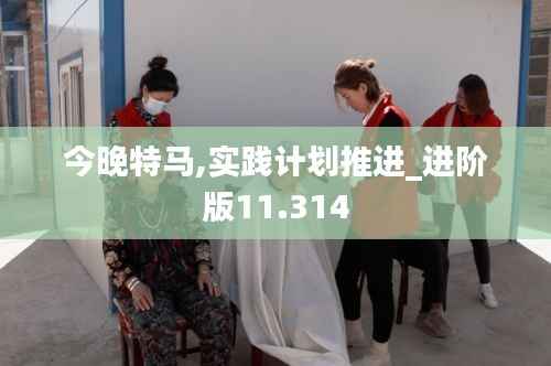 今晚特马,实践计划推进_进阶版11.314