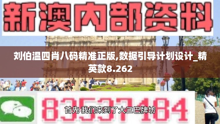 刘伯温四肖八码精准正版,数据引导计划设计_精英款8.262