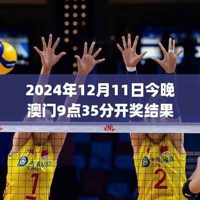 2024年12月11日今晚澳门9点35分开奖结果,深入解析设计数据_移动版9.505