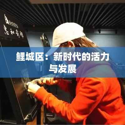 鲤城区:新时代的活力与发展