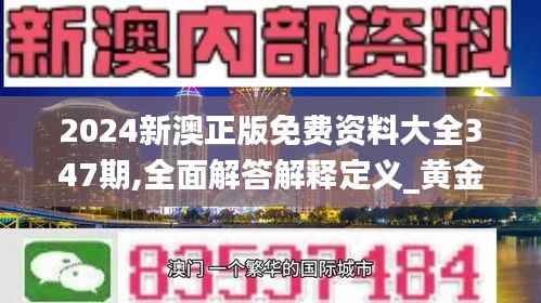 2024新澳正版免费资料大全347期,全面解答解释定义_黄金版1.313