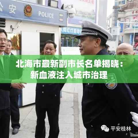 北海市最新副市长名单揭晓：新血液注入城市治理