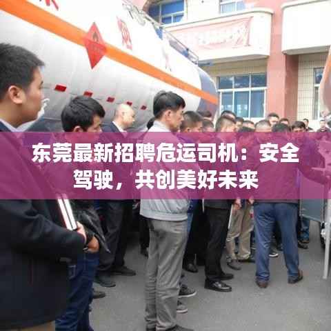 东莞最新招聘危运司机:安全驾驶,共创美好未来