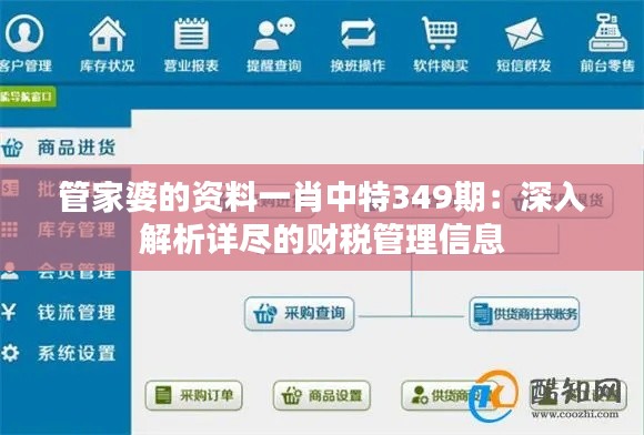 管家婆的资料一肖中特349期:深入解析详尽的财税管理信息