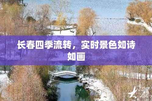 长春四季流转，实时景色如诗如画