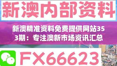 新澳精准资料免费提供网站353期：专注澳新市场资讯汇总