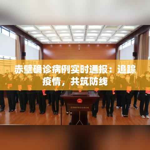 赤壁确诊病例实时通报：追踪疫情，共筑防线