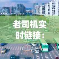 老司机实时链接：揭秘现代交通管理的智慧之眼