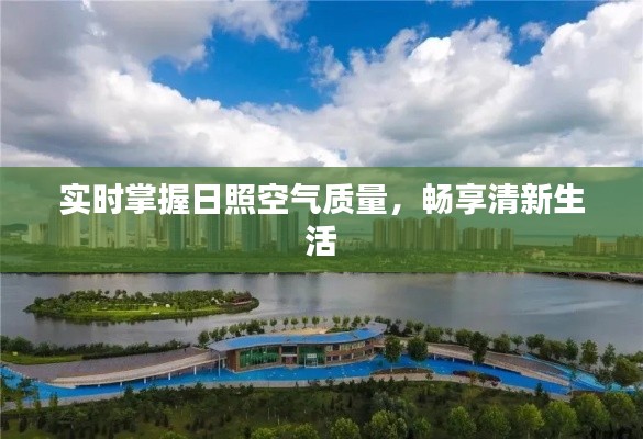 飞箭如蝗 第3页