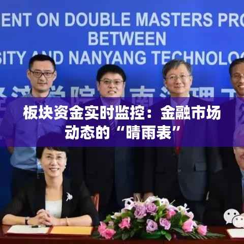 板块资金实时监控:金融市场动态的“晴雨表”