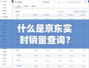 什么是京东实时销量查询？