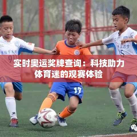 实时奥运奖牌查询：科技助力体育迷的观赛体验