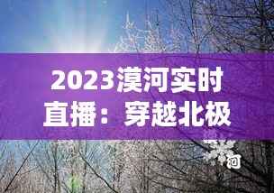 2023漠河实时直播：穿越北极光，尽享冰雪奇缘