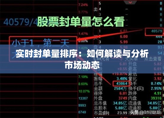实时封单量排序:如何解读与分析市场动态