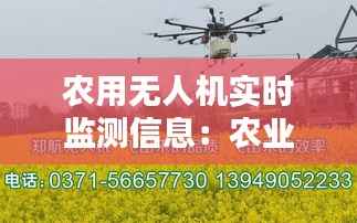 凿壁偷光 第3页