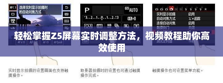 轻松掌握Z5屏幕实时调整方法,视频教程助你高效使用