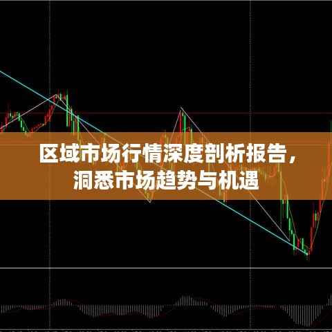 区域市场行情深度剖析报告，洞悉市场趋势与机遇