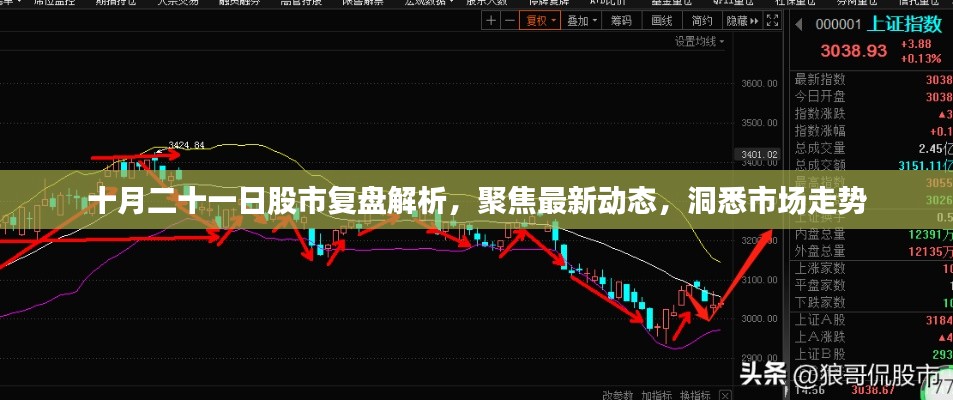 十月二十一日股市复盘解析，聚焦最新动态，洞悉市场走势