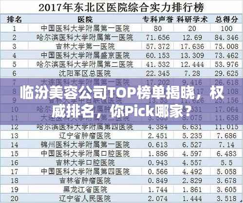 临汾美容公司TOP榜单揭晓，权威排名，你Pick哪家？