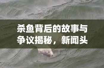 杀鱼背后的故事与争议揭秘，新闻头条引人关注