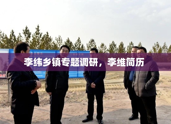 李纬乡镇专题调研,李维简历