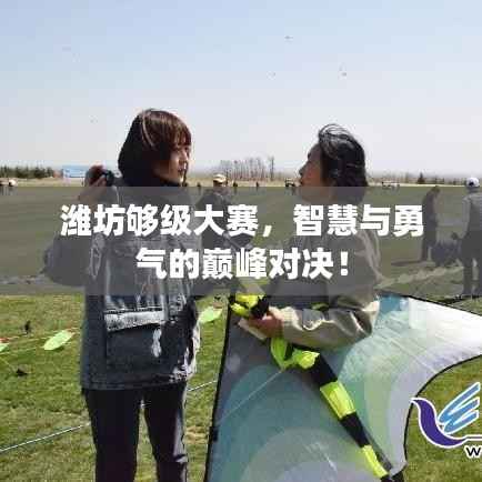 潍坊够级大赛,智慧与勇气的巅峰对决!