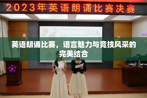 英语朗诵比赛，语言魅力与竞技风采的完美结合