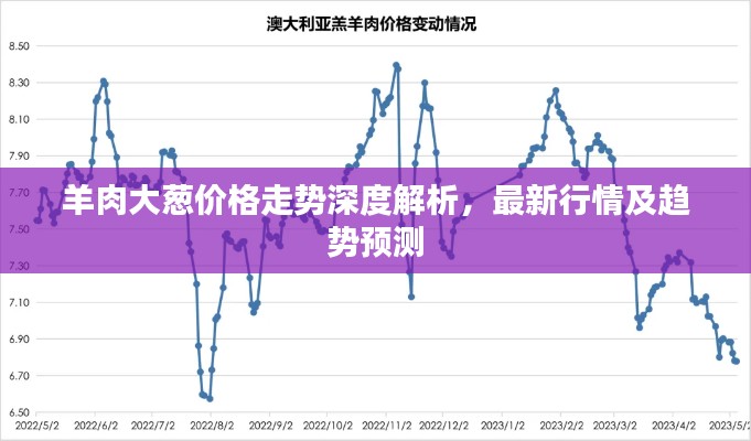 羊肉大葱价格走势深度解析,最新行情及趋势预测