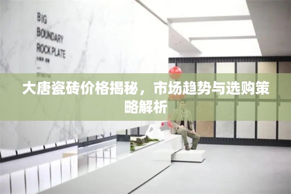 大唐瓷砖价格揭秘,市场趋势与选购策略解析