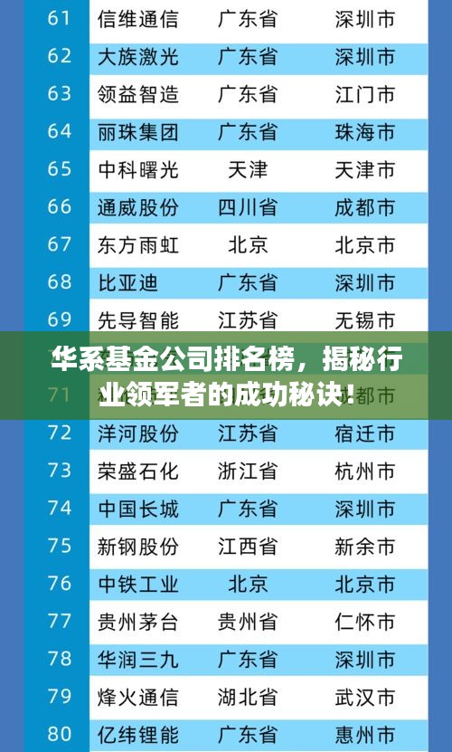 华系基金公司排名榜，揭秘行业领军者的成功秘诀！