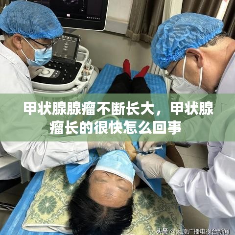 飞红滴翠