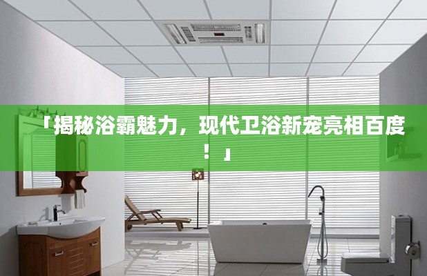 「揭秘浴霸魅力,现代卫浴新宠亮相百度!」