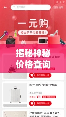 揭秘神秘价格查询器,购物省钱利器,消费透明无忧!