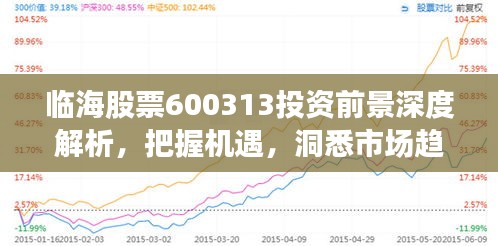 临海股票600313投资前景深度解析，把握机遇，洞悉市场趋势