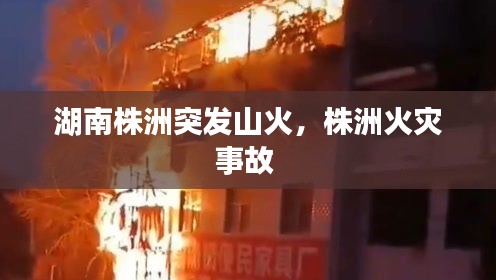 湖南株洲突发山火,株洲火灾事故